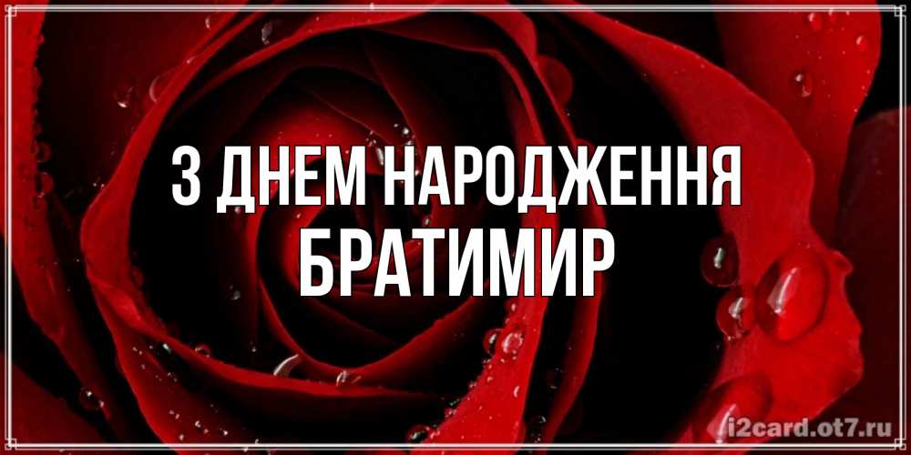 Открытка на каждый день з підписом, Братимир З Днем народження крупная бордовая роза Прикольна листівка з побажанням онлайн скачати безкоштовно 