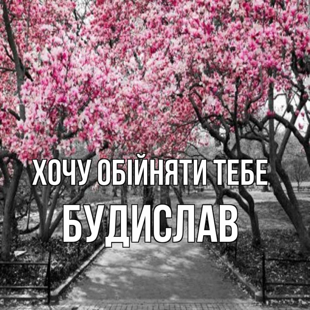 Открытка на каждый день з підписом, Будислав Хочу обійняти тебе обработанное фото Прикольна листівка з побажанням онлайн скачати безкоштовно 