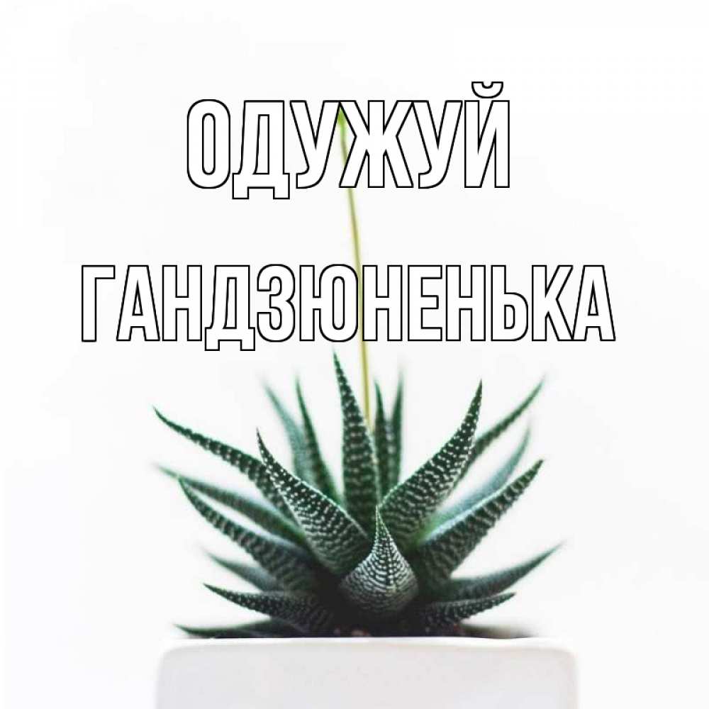 Открытка на каждый день з підписом, Гандзюненька Одужуй короче это непонятная колючка Прикольна листівка з побажанням онлайн скачати безкоштовно 