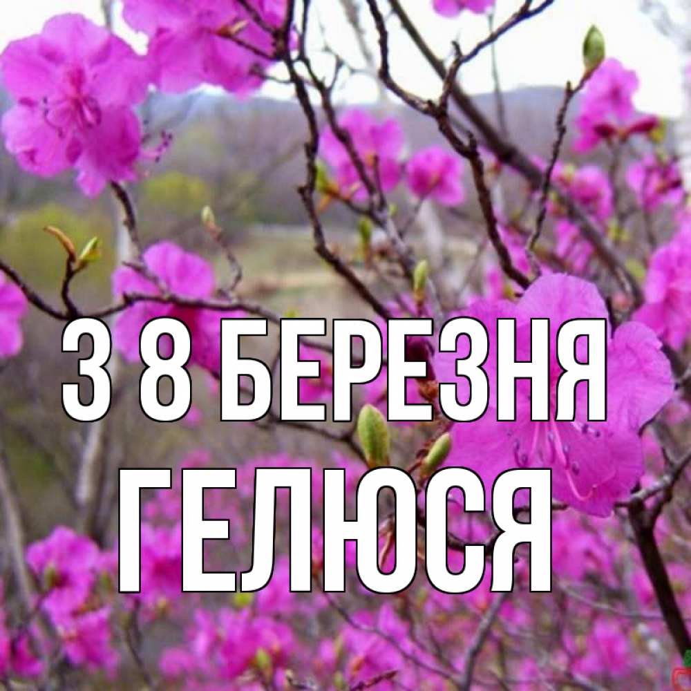 Открытка на каждый день з підписом, Гелюся З 8 БЕРЕЗНЯ международный женский день Прикольна листівка з побажанням онлайн скачати безкоштовно 