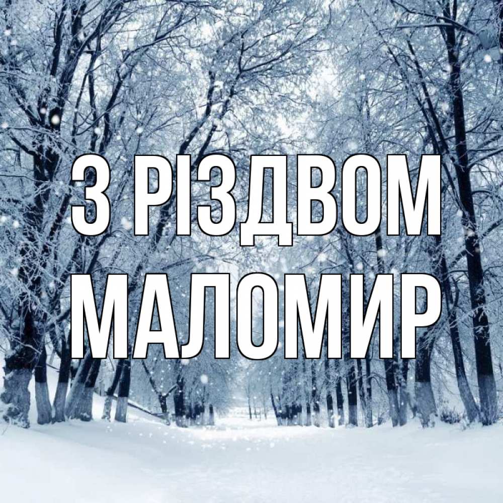Открытка на каждый день з підписом, Маломир З Різдвом снег, лес, парк Прикольна листівка з побажанням онлайн скачати безкоштовно 