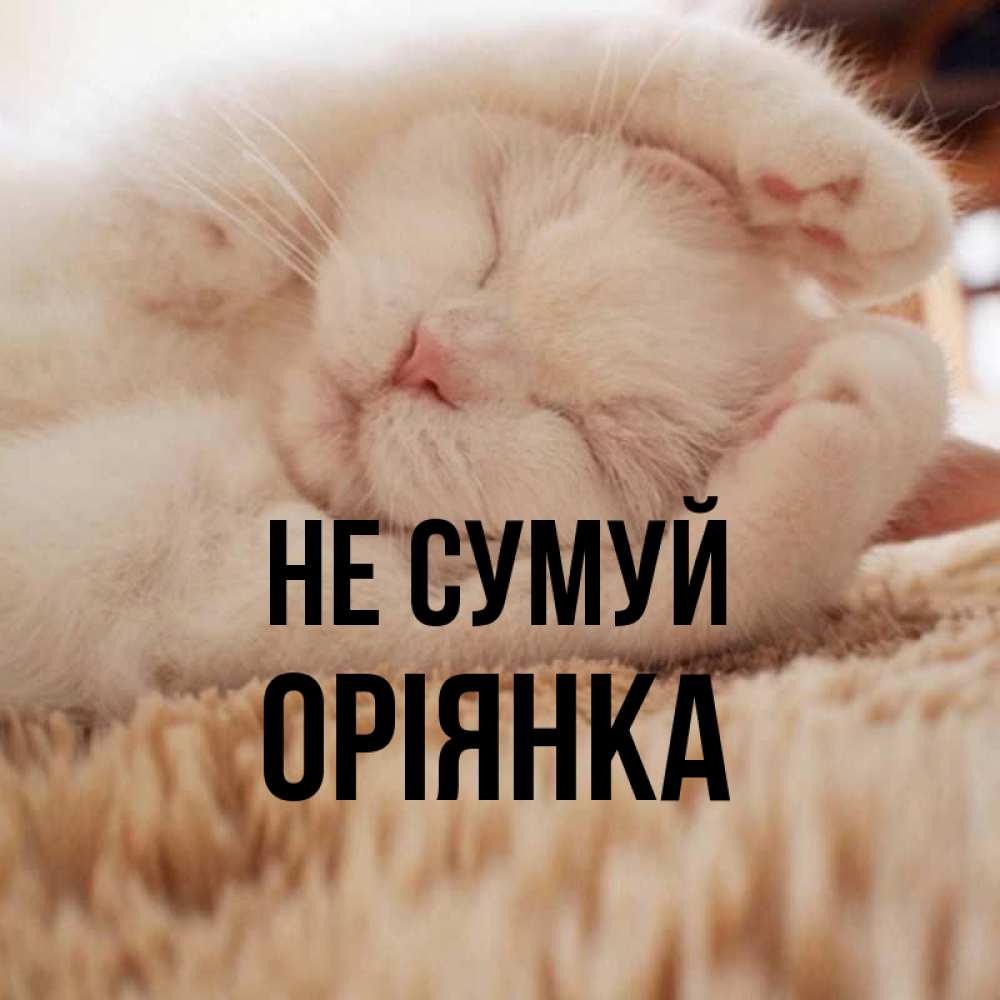 Открытка на каждый день з підписом, Оріянка Не сумуй Котенок спит Прикольна листівка з побажанням онлайн скачати безкоштовно 