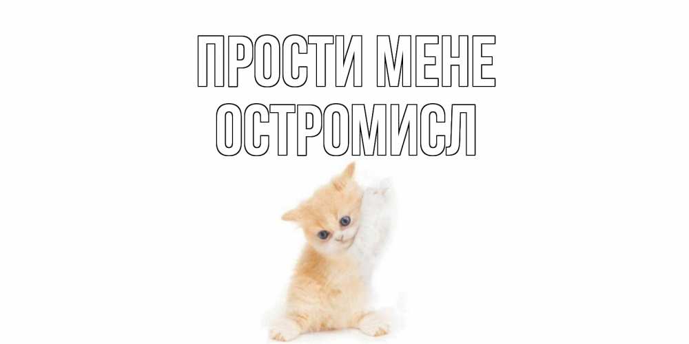 Открытка на каждый день з підписом, Остромисл Прости мене кот Прикольна листівка з побажанням онлайн скачати безкоштовно 