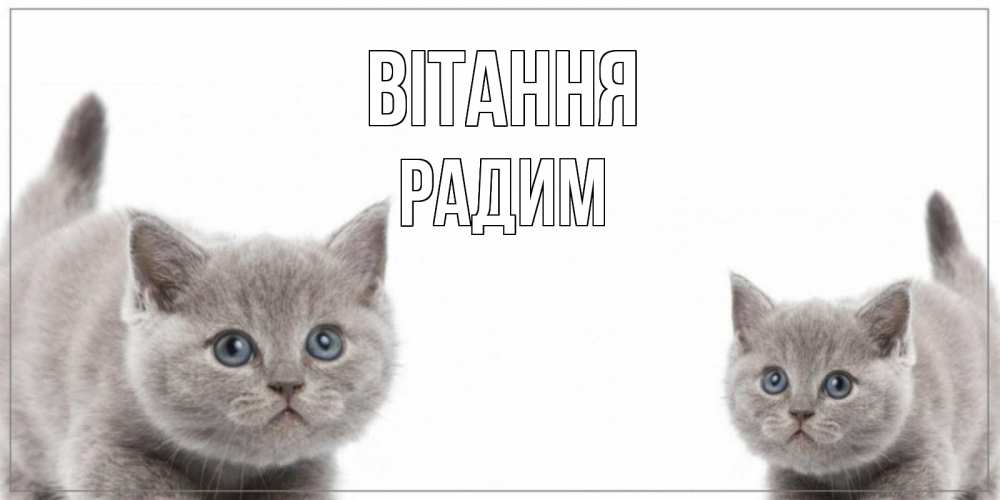 Открытка на каждый день з підписом, Радим Вітання коты Прикольна листівка з побажанням онлайн скачати безкоштовно 