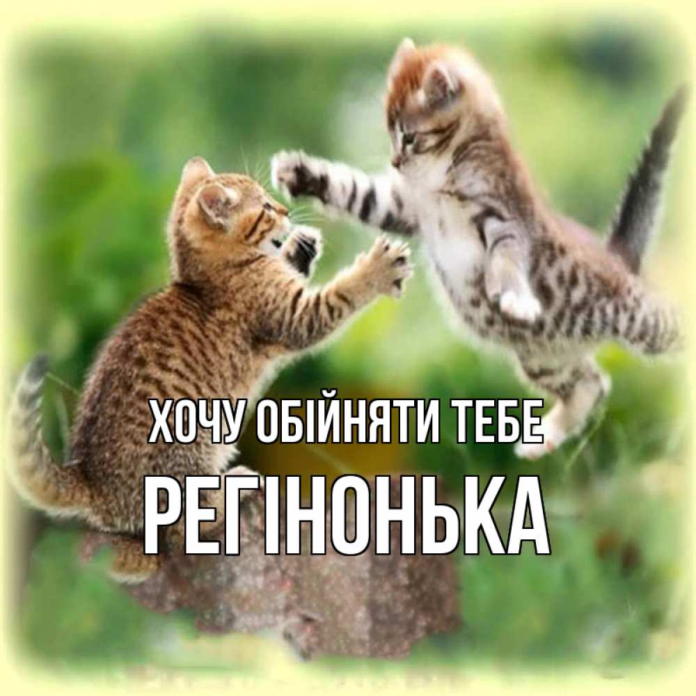 Открытка на каждый день з підписом, Регінонька Хочу обійняти тебе игры котят Прикольна листівка з побажанням онлайн скачати безкоштовно 