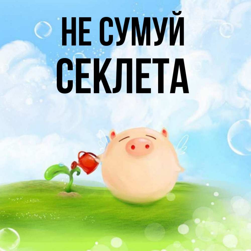 Открытка на каждый день з підписом, Секлета Не сумуй поливает цветок порося Прикольна листівка з побажанням онлайн скачати безкоштовно 