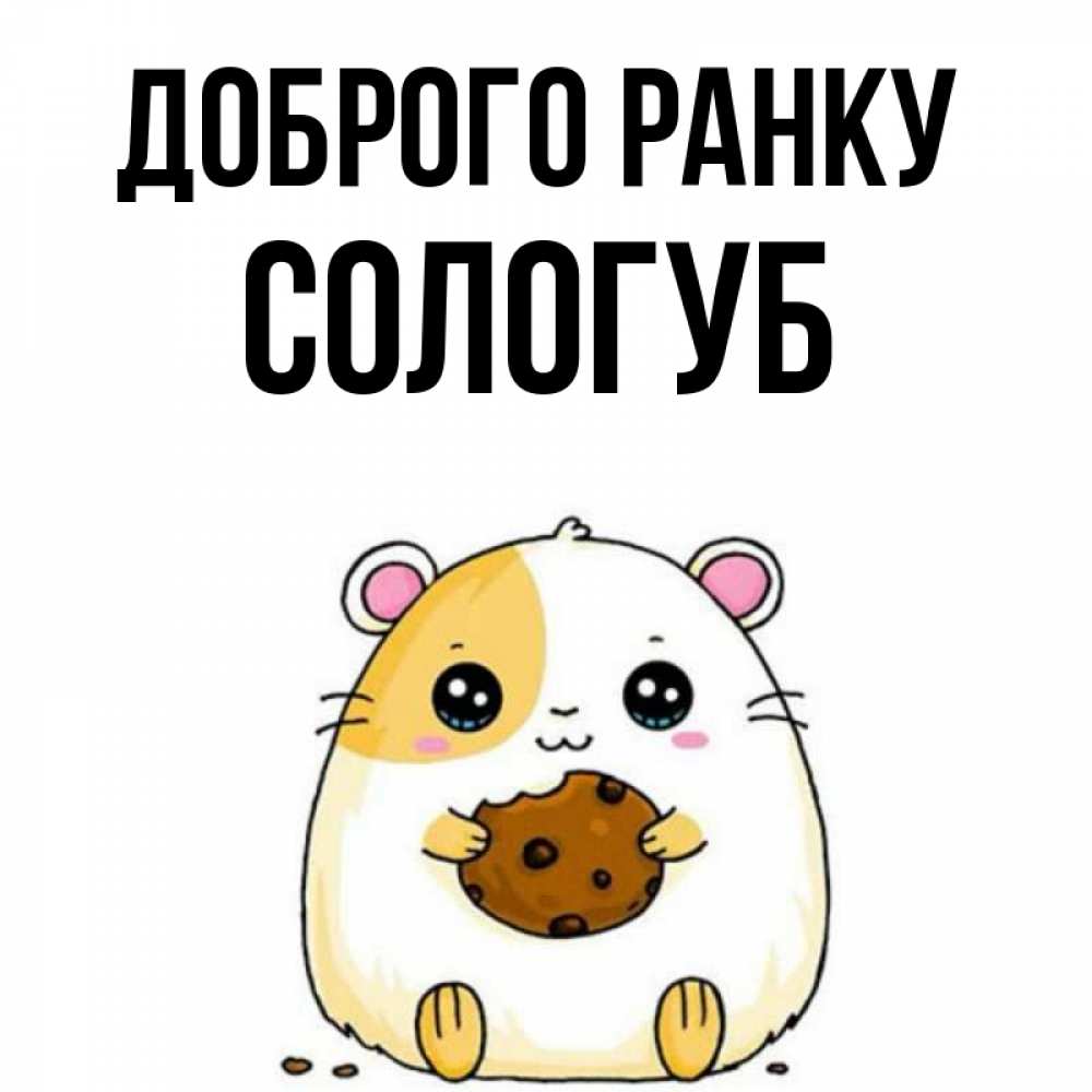 Открытка на каждый день з підписом, Сологуб Доброго ранку есть печеньку. Утречко Прикольна листівка з побажанням онлайн скачати безкоштовно 