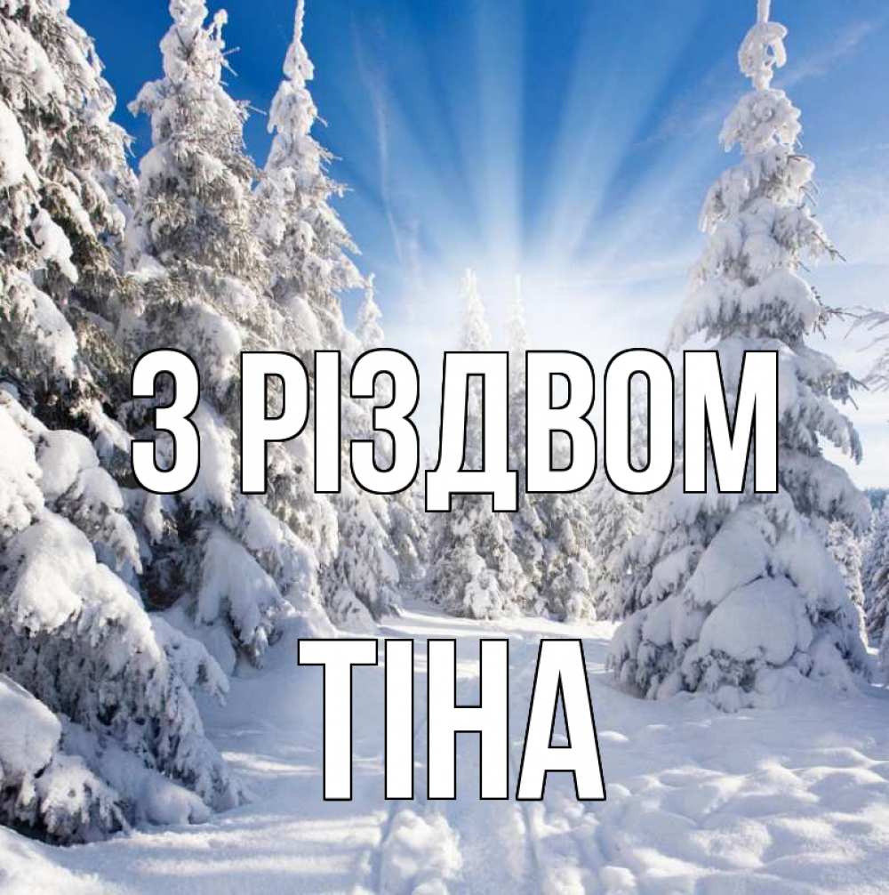 Открытка на каждый день з підписом, Тіна З Різдвом зима, лес Прикольна листівка з побажанням онлайн скачати безкоштовно 