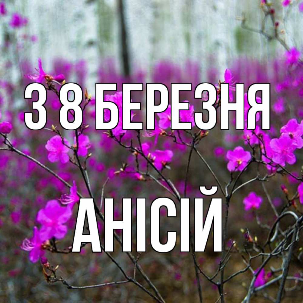 Открытка на каждый день з підписом, Анісій З 8 БЕРЕЗНЯ дикие цветы Прикольна листівка з побажанням онлайн скачати безкоштовно 