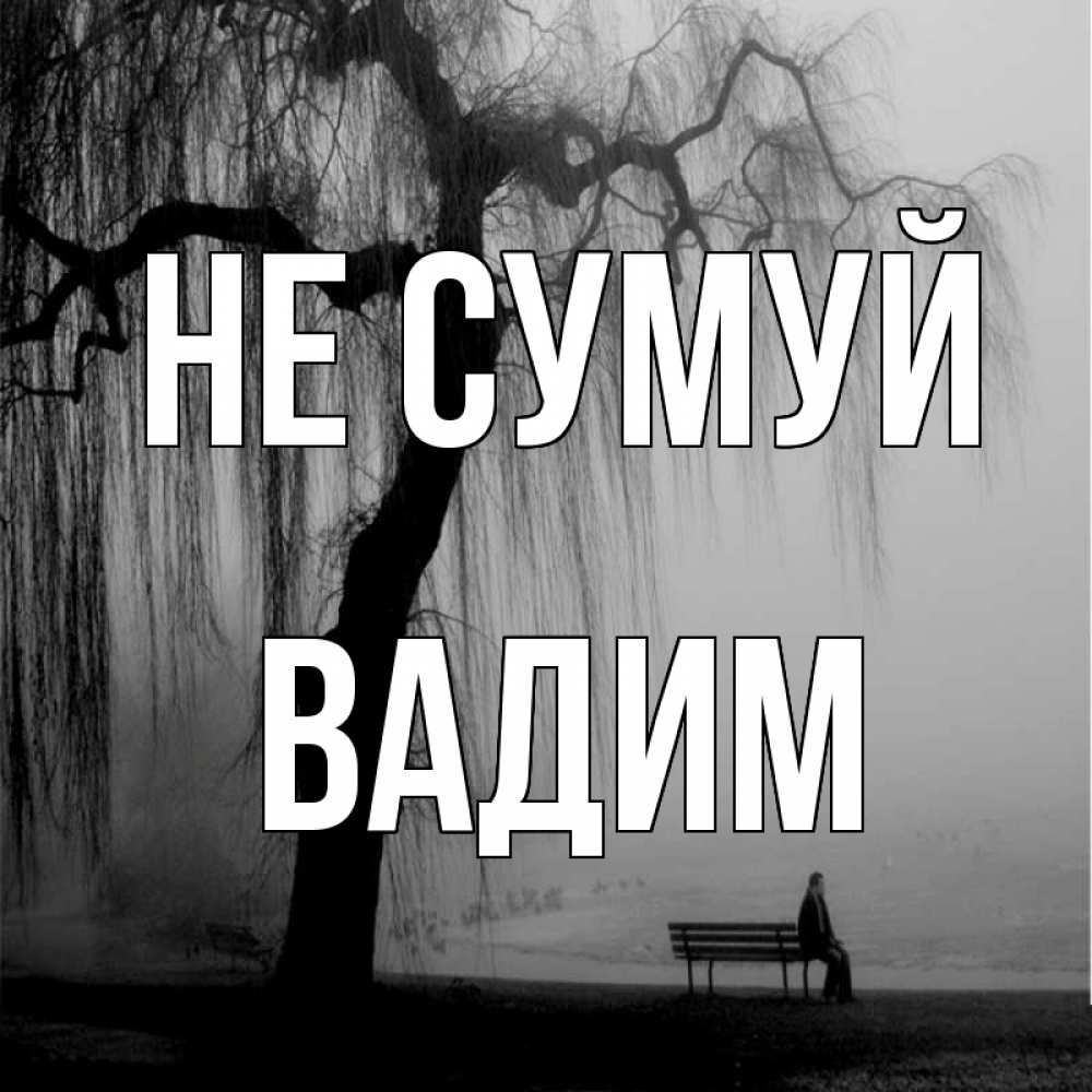Открытка на каждый день з підписом, Вадим Не сумуй висящие ветки дерева и лавочка под деревом Прикольна листівка з побажанням онлайн скачати безкоштовно 