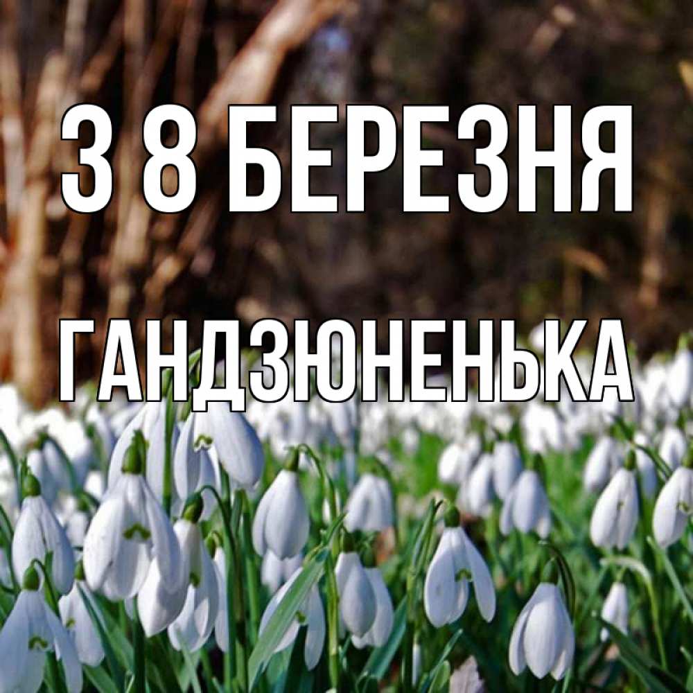 Открытка на каждый день з підписом, Гандзюненька З 8 БЕРЕЗНЯ с подснежниками 1 Прикольна листівка з побажанням онлайн скачати безкоштовно 