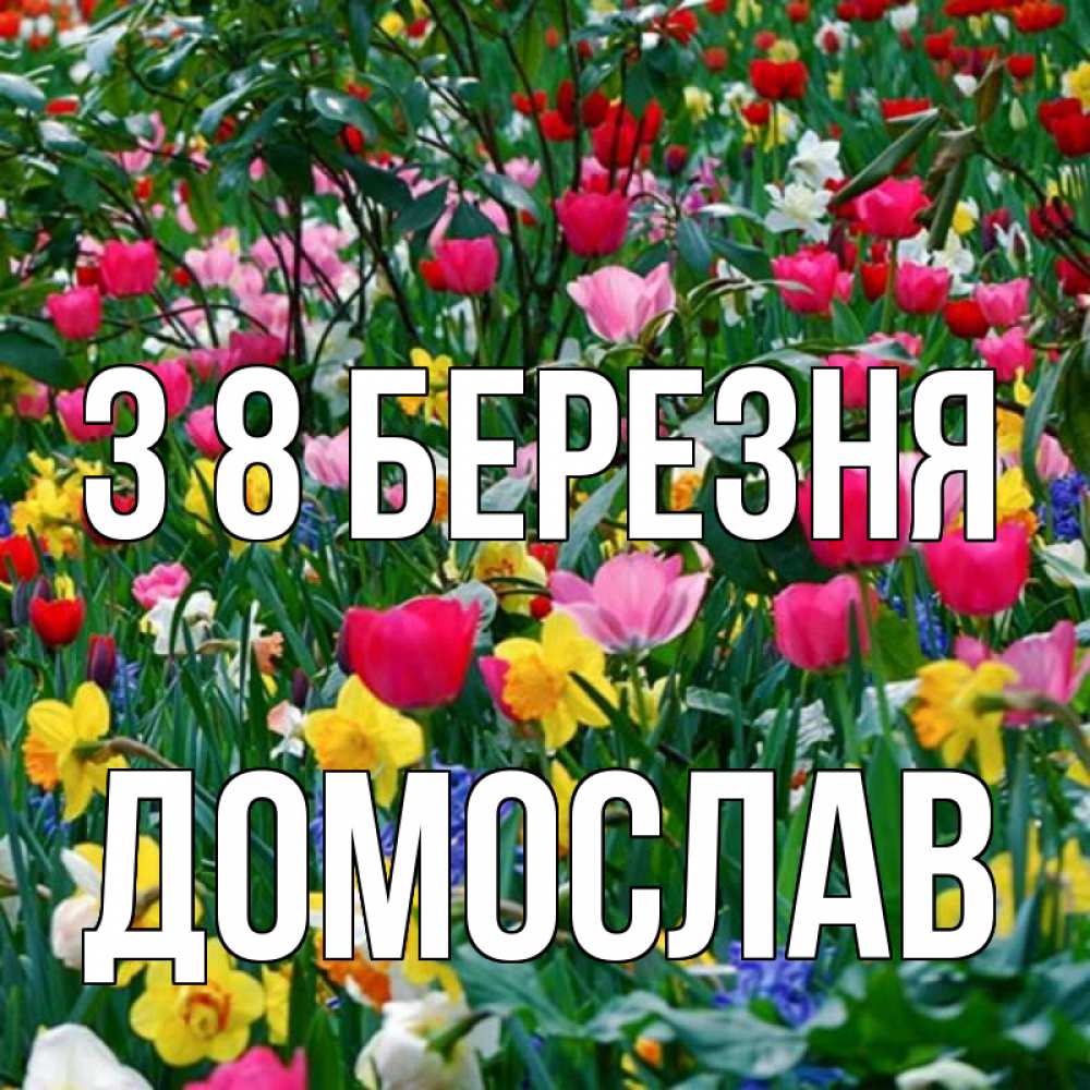 Открытка на каждый день з підписом, Домослав З 8 БЕРЕЗНЯ с международным женским днем поздравления для женщины Прикольна листівка з побажанням онлайн скачати безкоштовно 