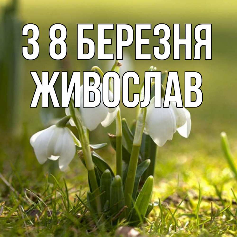 Открытка на каждый день з підписом, Живослав З 8 БЕРЕЗНЯ ранние цветы 2 Прикольна листівка з побажанням онлайн скачати безкоштовно 