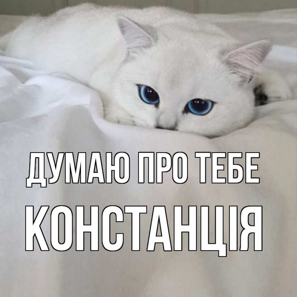 Открытка на каждый день з підписом, Констанція Думаю про тебе я очень по тебе скучаю и тоскую Прикольна листівка з побажанням онлайн скачати безкоштовно 