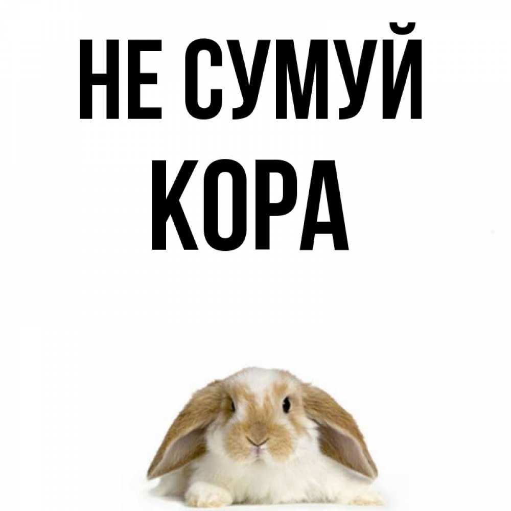Открытка на каждый день з підписом, Кора Не сумуй коричнево белый заяц с большими ушками Прикольна листівка з побажанням онлайн скачати безкоштовно 