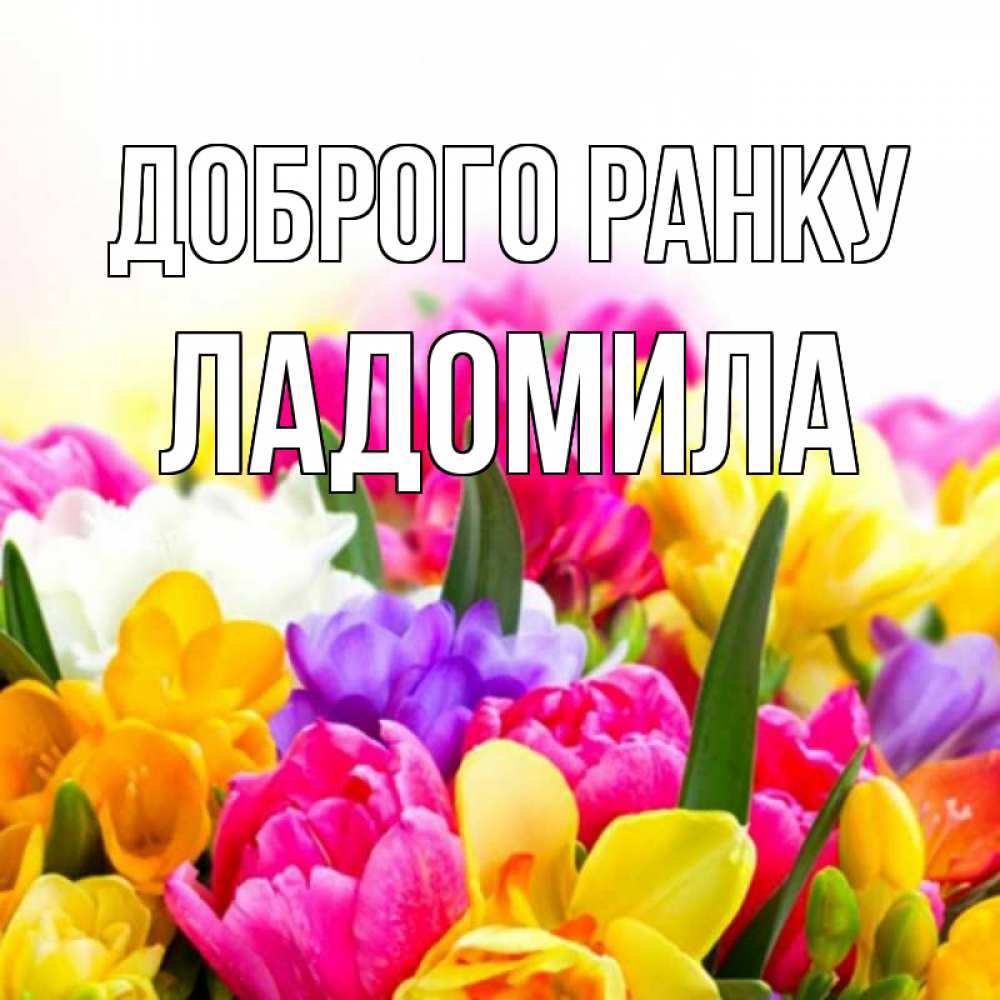 Открытка на каждый день з підписом, Ладомила Доброго ранку создать открытку со свое подписью Прикольна листівка з побажанням онлайн скачати безкоштовно 