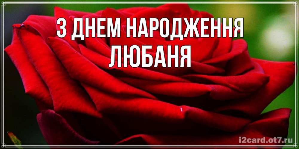 Открытка на каждый день з підписом, Любаня З Днем народження розочка очень красивая Прикольна листівка з побажанням онлайн скачати безкоштовно 