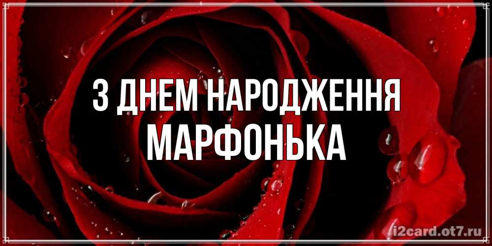 Открытка на каждый день з підписом, Марфонька З Днем народження крупная бордовая роза Прикольна листівка з побажанням онлайн скачати безкоштовно 