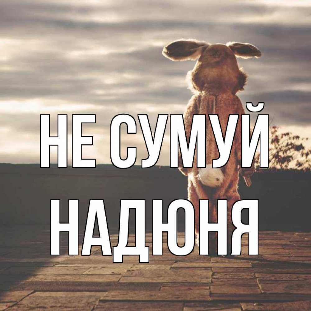 Открытка на каждый день з підписом, Надюня Не сумуй со спины Прикольна листівка з побажанням онлайн скачати безкоштовно 