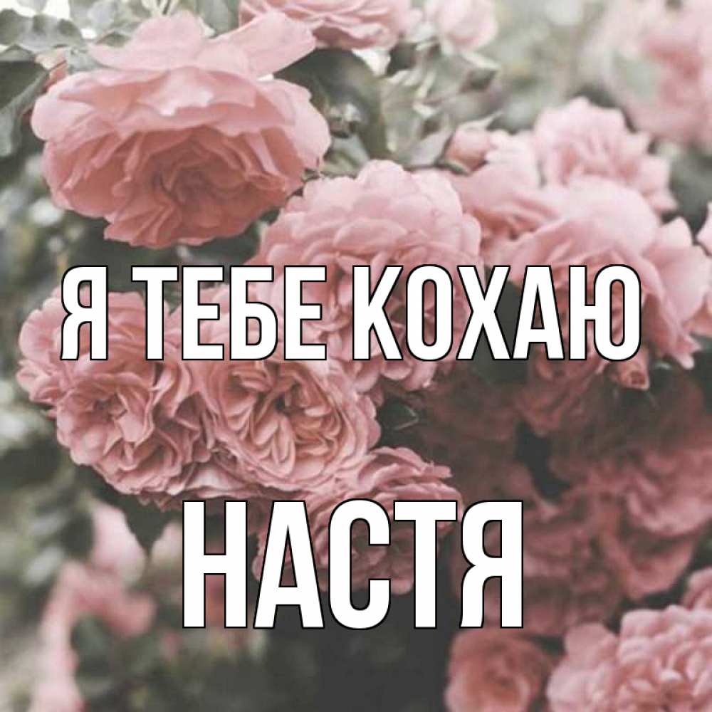 Открытка на каждый день з підписом, Настя Я тебе кохаю розы 3 Прикольна листівка з побажанням онлайн скачати безкоштовно 