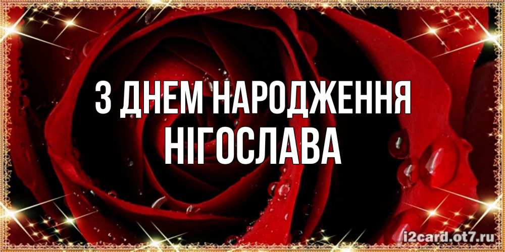 Открытка на каждый день з підписом, Нігослава З Днем народження цветок в росе на день рождения Прикольна листівка з побажанням онлайн скачати безкоштовно 