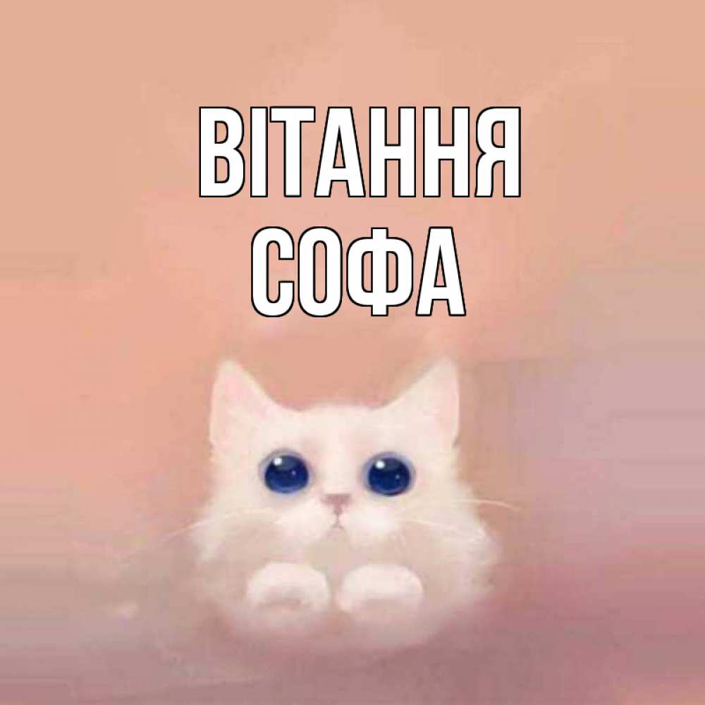 Открытка на каждый день з підписом, Софа Вітання котик белый в полете Прикольна листівка з побажанням онлайн скачати безкоштовно 