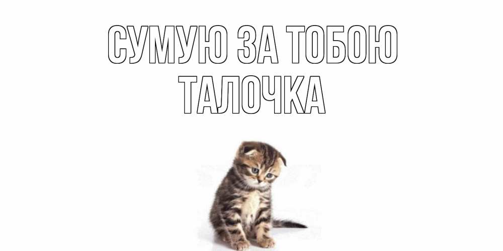 Открытка на каждый день з підписом, Талочка Сумую за тобою кот Прикольна листівка з побажанням онлайн скачати безкоштовно 