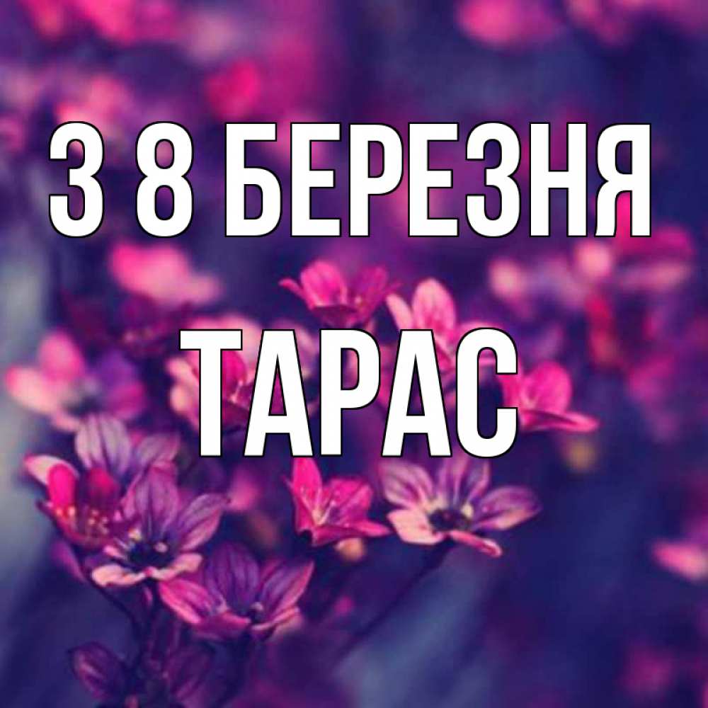 Открытка на каждый день з підписом, Тарас З 8 БЕРЕЗНЯ небольшие цветы 1 Прикольна листівка з побажанням онлайн скачати безкоштовно 