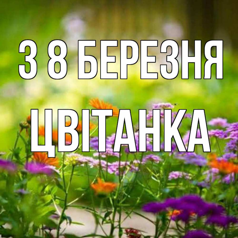Открытка на каждый день з підписом, Цвітанка З 8 БЕРЕЗНЯ цветы Прикольна листівка з побажанням онлайн скачати безкоштовно 
