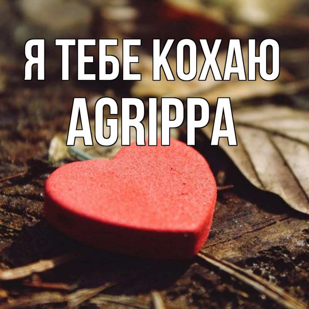 Открытка на каждый день з підписом, Agrippa Я тебе кохаю листья деревье 4 Прикольна листівка з побажанням онлайн скачати безкоштовно 