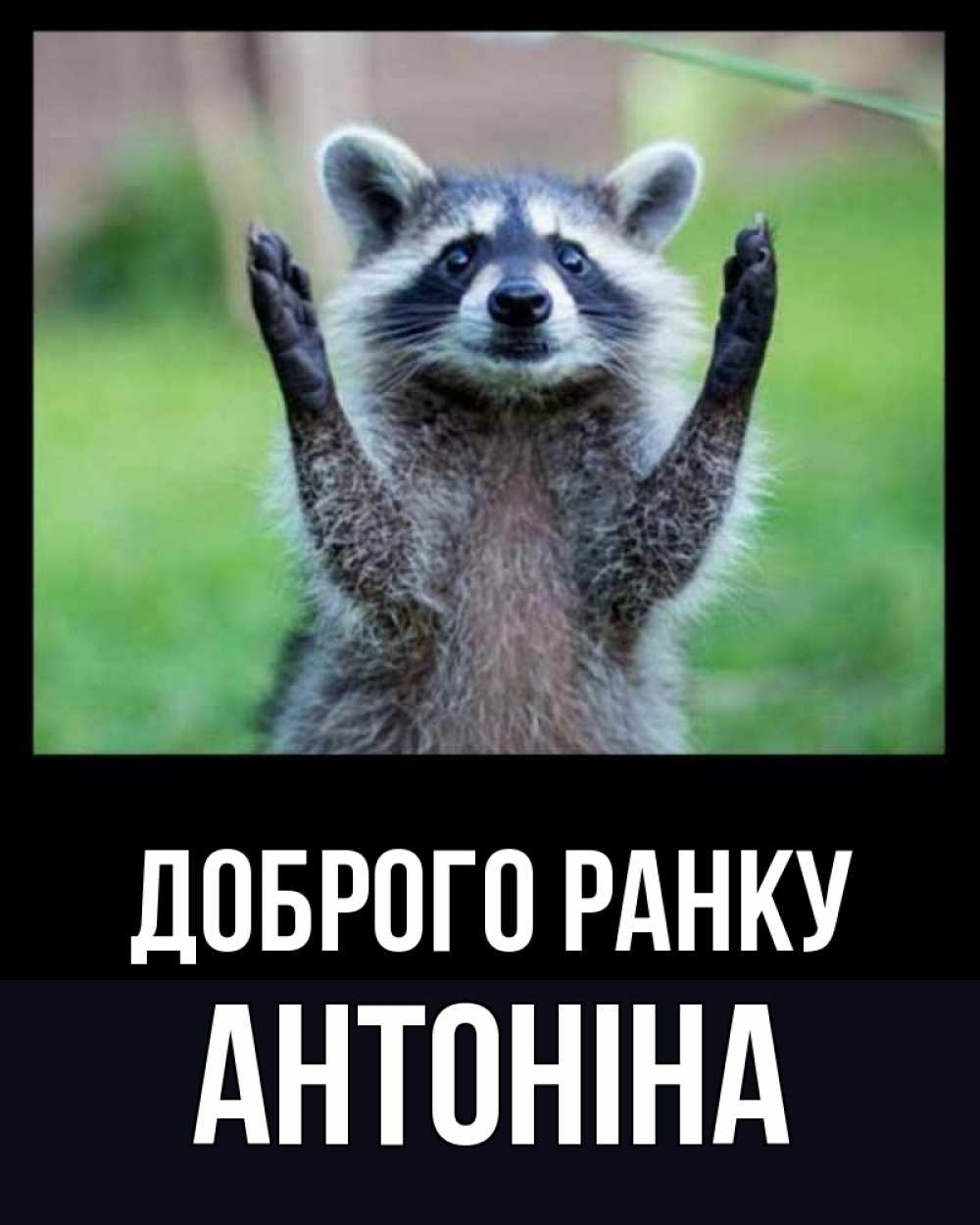Открытка на каждый день з підписом, Антоніна Доброго ранку хорошее настроение утречком Прикольна листівка з побажанням онлайн скачати безкоштовно 