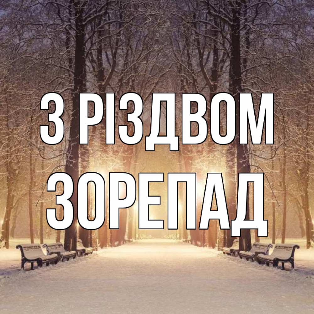 Открытка на каждый день з підписом, Зорепад З Різдвом зима, парк, фонарь, лес Прикольна листівка з побажанням онлайн скачати безкоштовно 