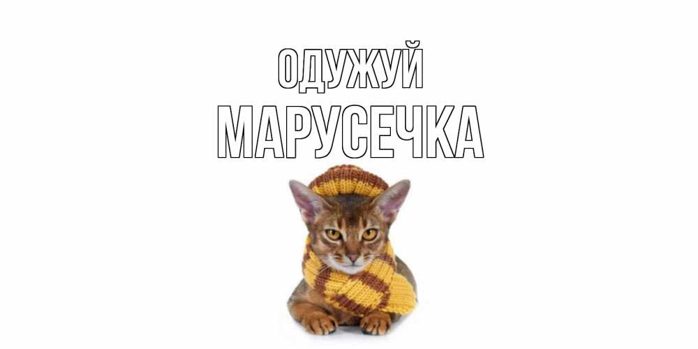 Открытка на каждый день з підписом, Марусечка Одужуй родные не болейте Прикольна листівка з побажанням онлайн скачати безкоштовно 