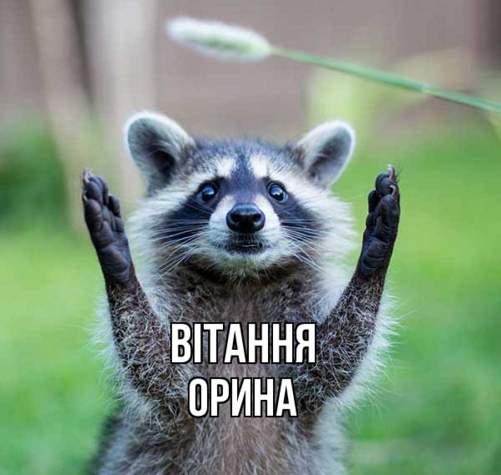 Открытка на каждый день з підписом, Орина Вітання животные Прикольна листівка з побажанням онлайн скачати безкоштовно 