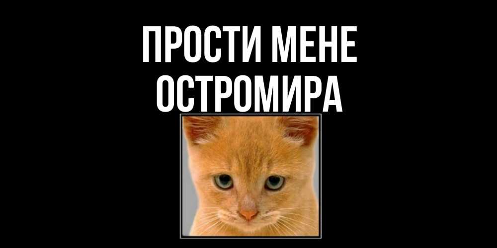 Открытка на каждый день з підписом, Остромира Прости мене рыжий грустный кот просит прощения Прикольна листівка з побажанням онлайн скачати безкоштовно 