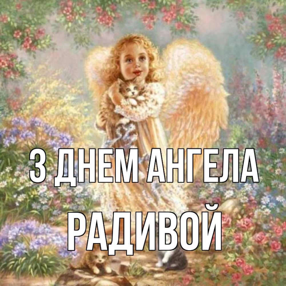 Открытка на каждый день з підписом, Радивой З Днем ангела держит котенка Прикольна листівка з побажанням онлайн скачати безкоштовно 