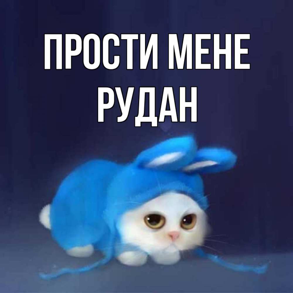 Открытка на каждый день з підписом, Рудан Прости мене невинный котозай просит прощения Прикольна листівка з побажанням онлайн скачати безкоштовно 
