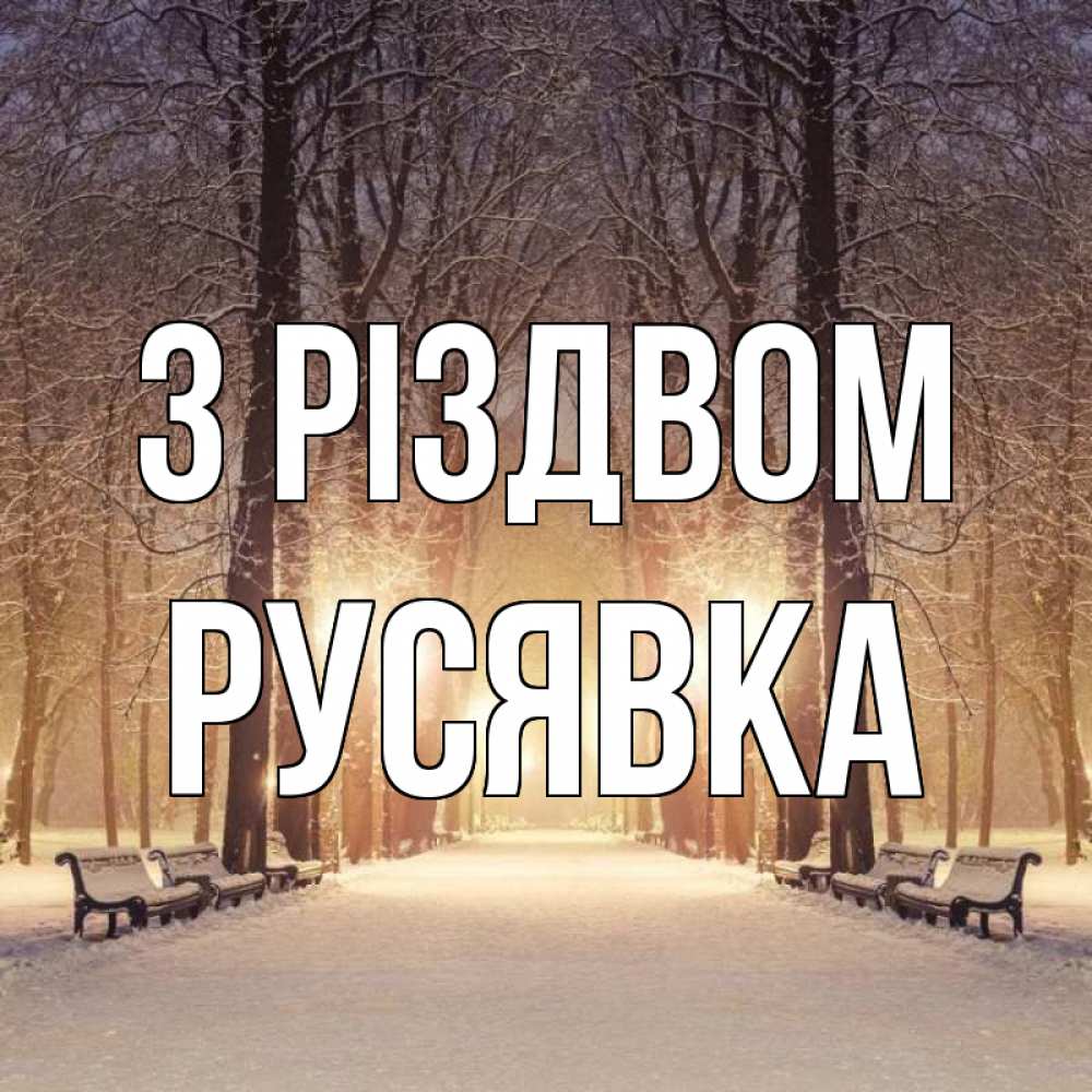 Открытка на каждый день з підписом, Русявка З Різдвом зима, парк, фонарь, лес Прикольна листівка з побажанням онлайн скачати безкоштовно 