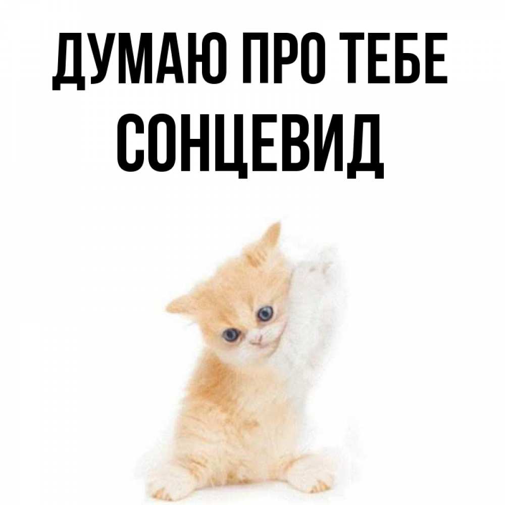 Открытка на каждый день з підписом, Сонцевид Думаю про тебе зверушки и милота Прикольна листівка з побажанням онлайн скачати безкоштовно 