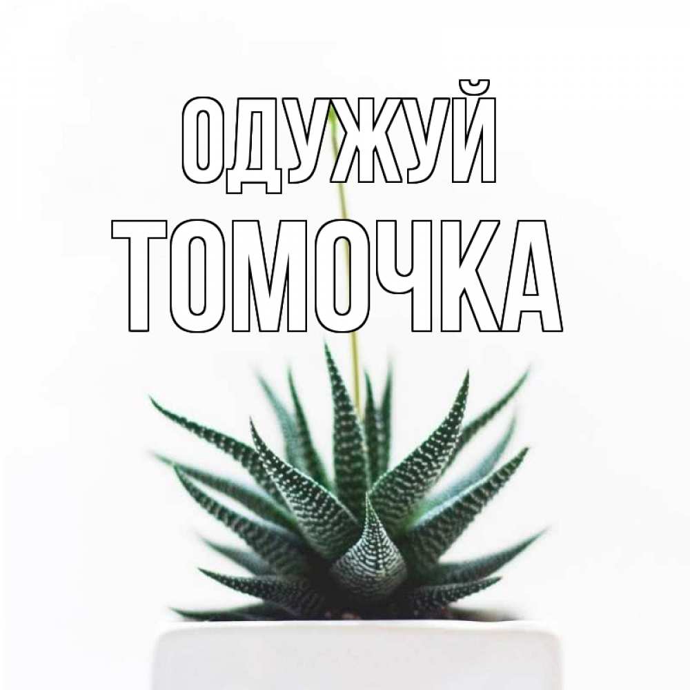 Открытка на каждый день з підписом, Томочка Одужуй короче это непонятная колючка Прикольна листівка з побажанням онлайн скачати безкоштовно 