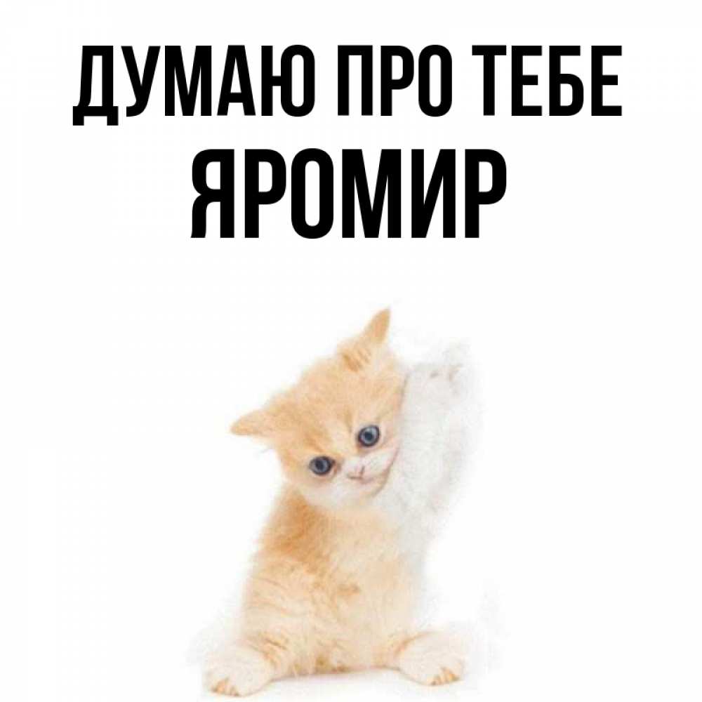 Открытка на каждый день з підписом, Яромир Думаю про тебе зверушки и милота Прикольна листівка з побажанням онлайн скачати безкоштовно 