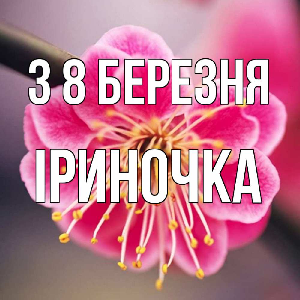 Открытка на каждый день з підписом, Іриночка З 8 БЕРЕЗНЯ цветы Прикольна листівка з побажанням онлайн скачати безкоштовно 