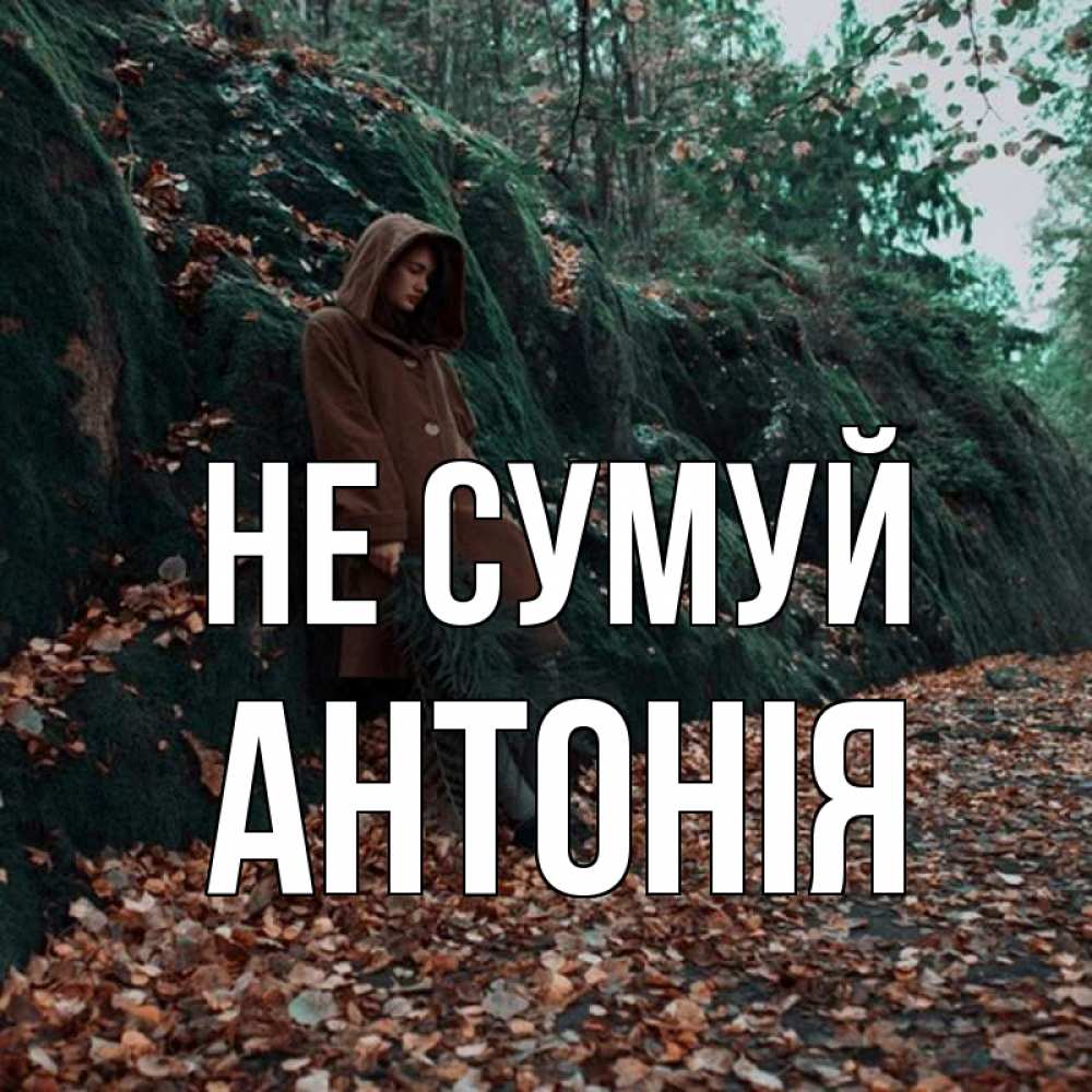 Открытка на каждый день з підписом, Антонія Не сумуй осенний лес Прикольна листівка з побажанням онлайн скачати безкоштовно 