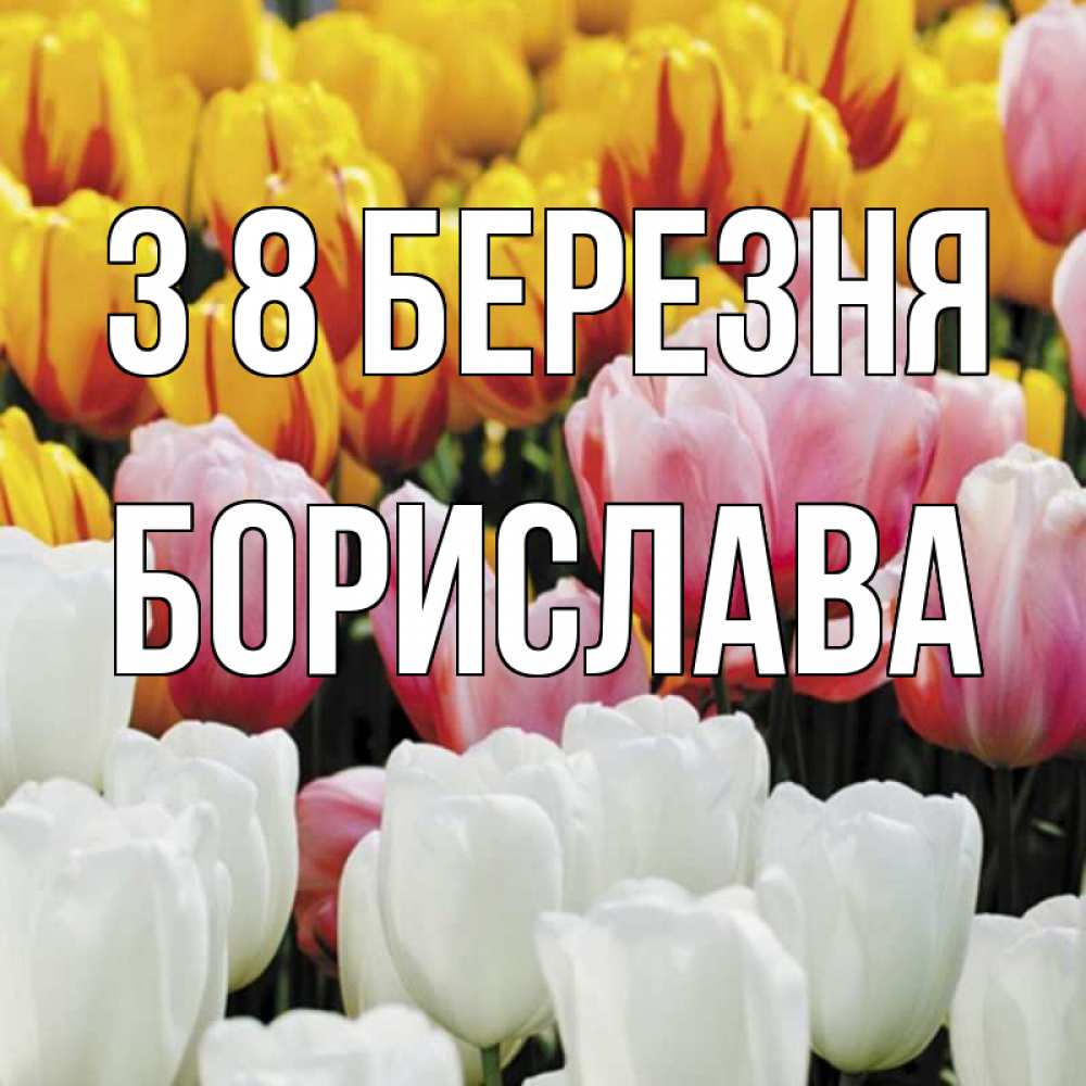 Открытка на каждый день з підписом, Борислава З 8 БЕРЕЗНЯ разноцветные цветы Прикольна листівка з побажанням онлайн скачати безкоштовно 