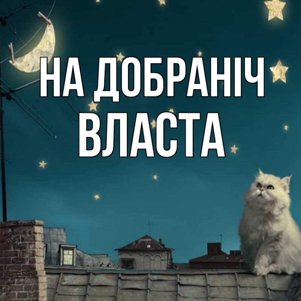 Открытка на каждый день з підписом, Власта На добраніч белый кот сидит на крыше Прикольна листівка з побажанням онлайн скачати безкоштовно 