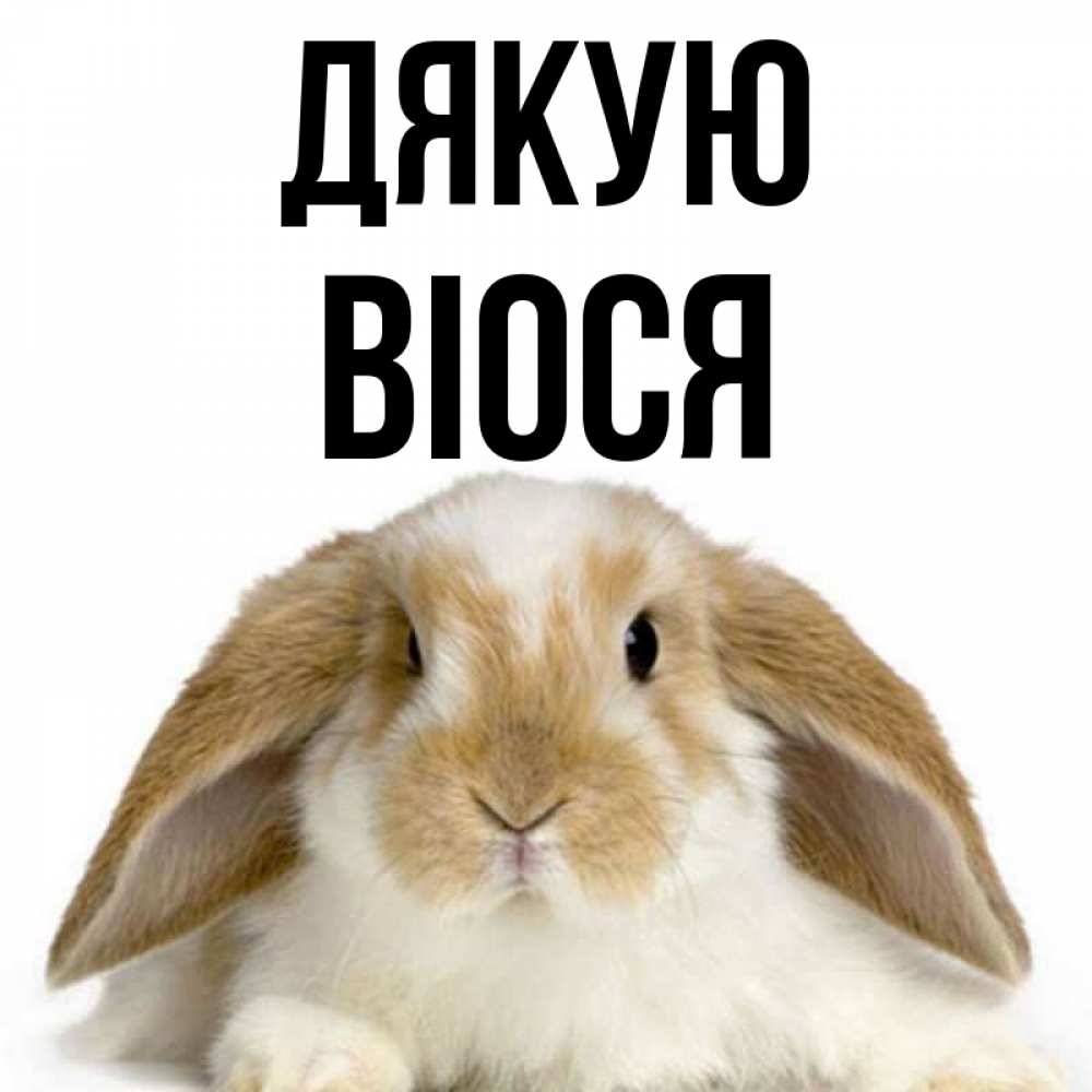 Открытка на каждый день з підписом, Віося Дякую коричнево белый заяц Прикольна листівка з побажанням онлайн скачати безкоштовно 