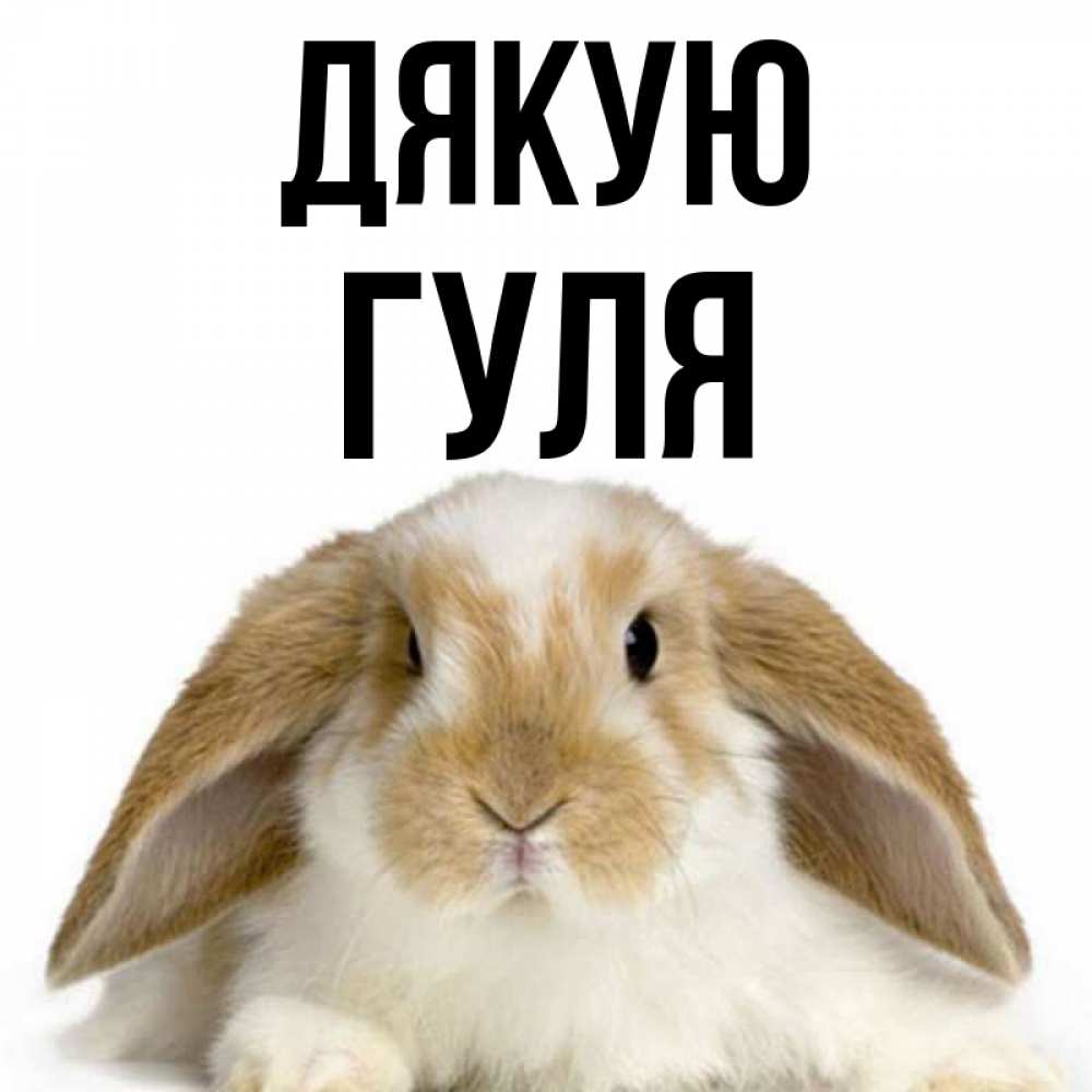 Открытка на каждый день з підписом, Гуля Дякую коричнево белый заяц Прикольна листівка з побажанням онлайн скачати безкоштовно 