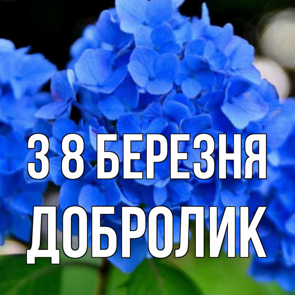 Открытка на каждый день з підписом, Добролик З 8 БЕРЕЗНЯ синие цветы Прикольна листівка з побажанням онлайн скачати безкоштовно 