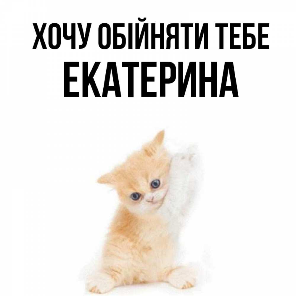 Открытка на каждый день з підписом, Екатерина Хочу обійняти тебе я хочу очень скорее обнимаешек Прикольна листівка з побажанням онлайн скачати безкоштовно 