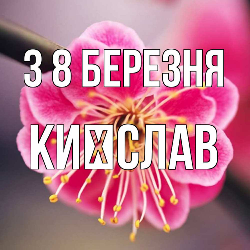 Открытка на каждый день з підписом, Києслав З 8 БЕРЕЗНЯ цветы Прикольна листівка з побажанням онлайн скачати безкоштовно 